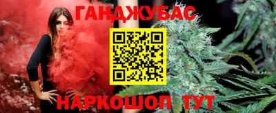 амф Кандалакша