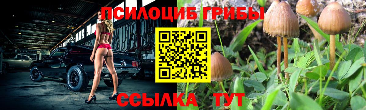 Псилоцибиновые грибы ЛСД  Вход с VPN  Красноармейск  Галлюциногенные грибы GOLDEN TEACHER 